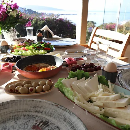 Dortmevsim * Bodrum