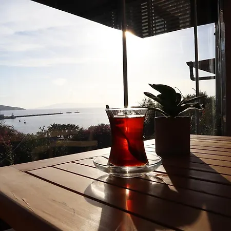 Dortmevsim Privat bolig Bodrum